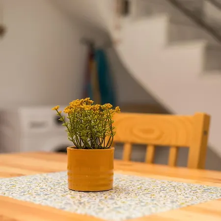 Kelly's House 1 别墅